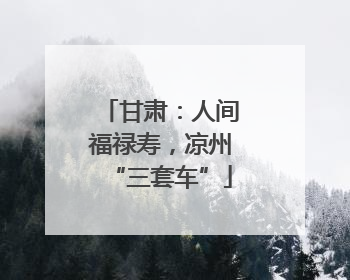 甘肃：人间福禄寿，凉州“三套车”